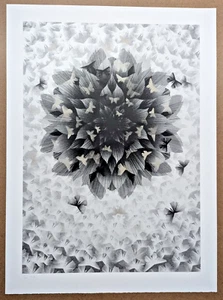 Kai & Sunny Just An Illusion 2 Poster Silver Variant 2013 Signed Limited Edition - Picture 1 of 3