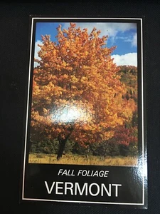 Vintage Vermont Fall Foliage Postcard Photographer Frank Forward Autumn Trees - Picture 1 of 8