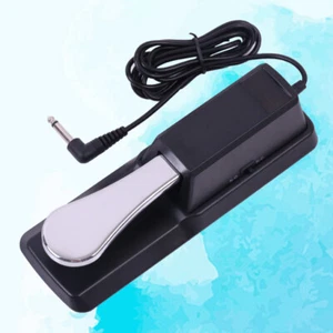 Universal Sustain Pedal Piano Foot Pedal Sustain Pedal Piano Midi Sustain Pedal - Picture 1 of 12