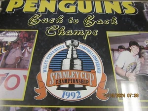 Pittsburgh Penguins 1992 Stanley Cup Champions Poster 16x20 Framed - Picture 1 of 6