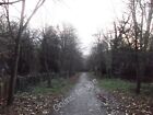 Photo 6X4 Path In Holland Park Kensington Tq2579 One Of The Many Woodlan C2011