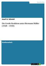 Josef A. Schmid | Die Große Koalition unter Hermann Müller (1928 ¿ 1930) | Buch