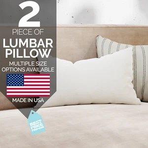 Rabatt Pillow Factory Boudior Kissen Lendenkissen Einlage Made in USA 2er Pack - Bild 1 von 9