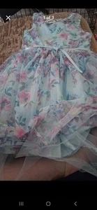 New ZUNIE Girls Tulle Floral Dress Party Special Occasion Easter Size XL 14-16 - Picture 1 of 3
