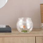 Mini Fish Tank Succulent Planter Small Bowl Decorative Items Betta