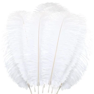 Janinka 20 Pieces Ostrich Feathers 16-18 Inch (40-45 cm) Large Feathers for V... - Picture 1 of 7