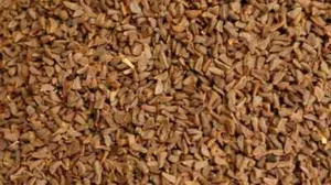 graines Harmal - harmala - rue ISBAND ISPAND ASPAND - LIVRAISON GRATUITE ET R... - Picture 1 of 3