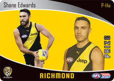 2020 AFL TEAMCOACH TEAM COACH PRIZE CARD RICHMOND TIGERS SHANE EDWARDS P14A