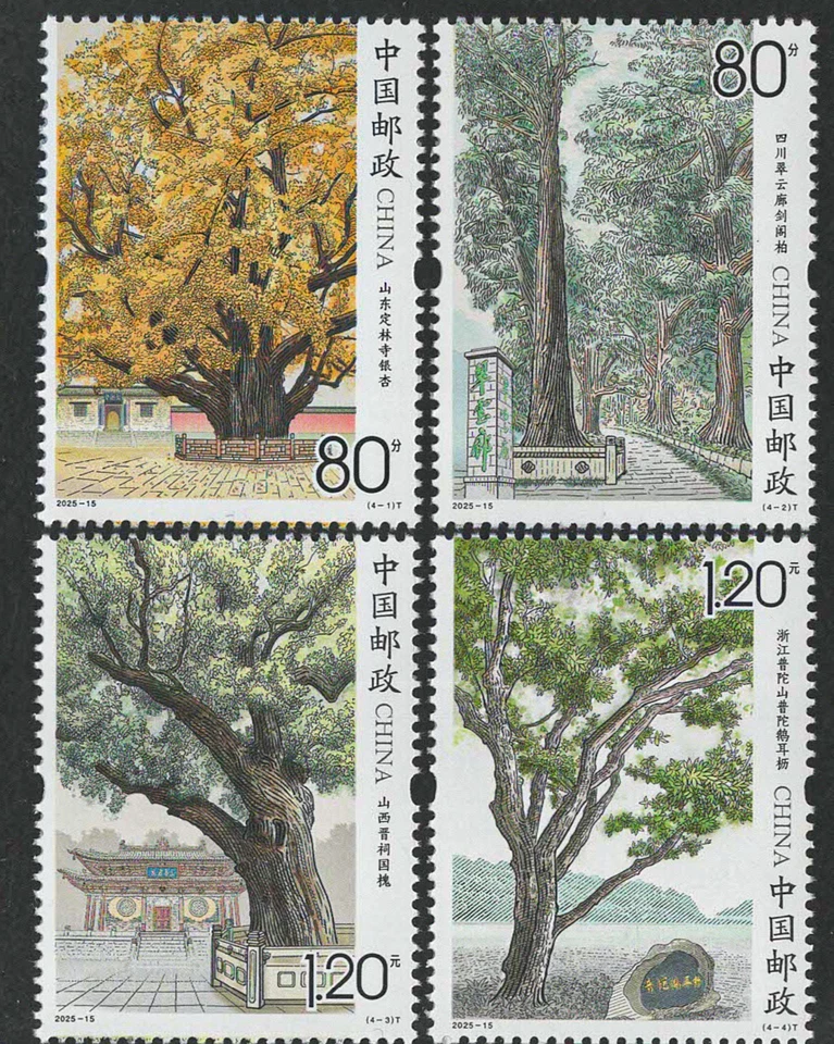 CHINA 2025-15 ANCIENT AND NOTABLE TREES stamp set of four, Mint, NH - image 1 of 1