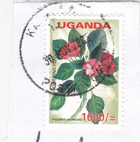 Kampala cancel Uganda 2005 Impatiens Walleriana SG 2514 VGC Cover