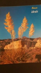 June 1959 Scenic Ideals Magazine Ideals Publishing Company 50 Pgs Volume 16 No 2 - Picture 1 of 3