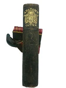 Skeletal Spine 1859 Treatise Anatomy Physiology & Hygiene Cutter 150 Engravings - Picture 1 of 12