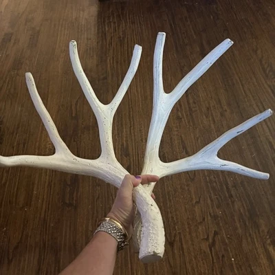 Cuernos de ciervo cabaña decoración de campo blanco duradero limpio compuesto de resina realista Foto 1 de 4