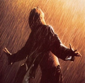Pintura al óleo Shawshank Redemption. 28x28 NO una impresión. - Imagen 1 de 1