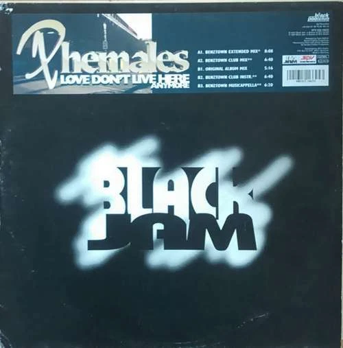 Phemales - Love Don't Live Here Anymore 12" Vinyl Schallplatte  - Bild 1 von 1