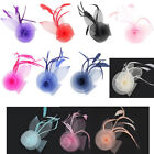 Small Flower Fascinator Hair Clip Feather Mini Hat Wedding Ascot Race Prom Party