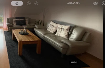 2er und 3er  Echtledercouch eisgrau Rückwände komplett mit Leder bezogen - Bild 1 von 4