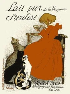 Decoration Poster.Wall Home room decor design.Girl with cats.Pet shop lover.9556 - Picture 1 of 1