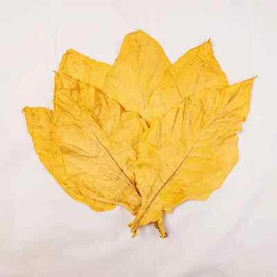 Virginia Gold Klasse 1 Tabakblätter Rohtabak Blätter Duft & Deko  - Bild 1 von 4