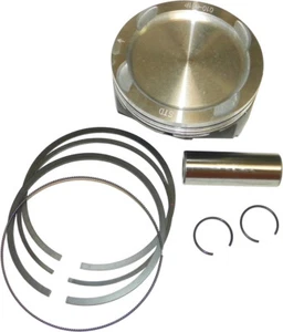 Piston Kit 010-861PK Replaces 420890082, 420890085 - Picture 1 of 1