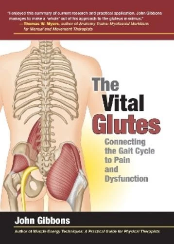 John Gibbons The Vital Glutes (Paperback) (US IMPORT) - Image 1 of 1
