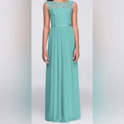 Nuevo con etiquetas Vestido de Dama de honor David Largo de Encaje Malla Foto 1 de 4