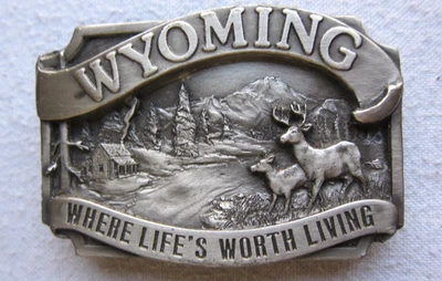 Hebilla de cinturón Siskiyou Wyoming de segunda mano 3 1/8" x 2" 1983 GC Foto 1 de 3