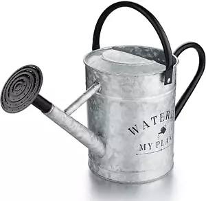 Galvanized Watering Can for Outdoor Indoor Plants, 1 Gallon Decorative Countrysi - Picture 1 of 12