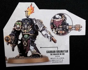 Salamanders Terminator Heavy Flamer Meltagun Deathwatch Kill Team Cassius 40K - Picture 1 of 2