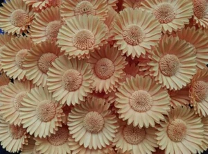 Handmade paper Flowers cream color Wedding Party Wall Winter decoration 50pcs - Picture 1 of 2