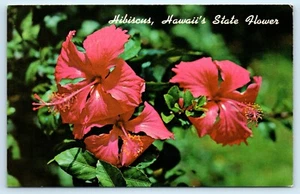 POSTAL hibisco rojo flor del estado de Hawai - Imagen 1 de 2