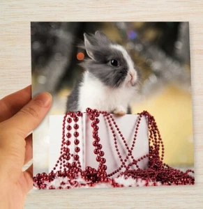Rabbit Christmas Cards & Packs Bunny "Surprise" from present Xmas cards - Picture 1 of 14