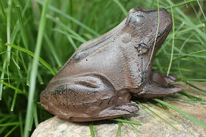 Gusseisen Frosch Laubfrosch Garten Deko Metall braun Figur Skulptur  - Bild 1 von 5