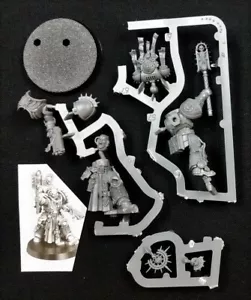Warhammer 40k Primaris Bladeguard Chaplain Indomitus OOP Space Marines - Picture 1 of 1
