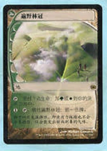 Canopée d'horizon CHINOIS - CHINESE Horizon Canopy - Magic Mtg - NM - FS - Photo 1/1