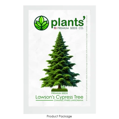Lawson's Cypress Tree | Premium Seeds | Chamaecyparis lawsoniana | Plants'® - Image 1 of 4