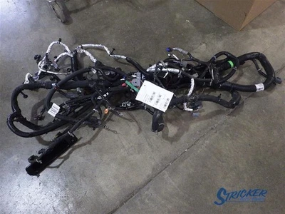 Gmc Sierra Denali 2500 Pickup 2024 Body Wiring Harness 87838442 7770755 3335 - Image 1 of 4