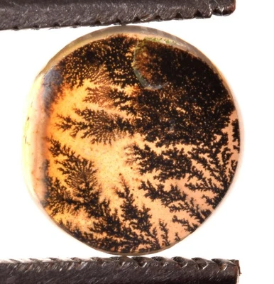 11.90*11.90mm Natural Dendritic Agate Unique Piece Certified Gemstone - Image 1 of 4