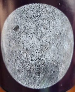 Taza de café Apollo Landings MOONWALK 16 OZ CALOR ACTIVO filósofos desempleados - Imagen 1 de 12