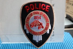tribal indian police patch PUYALLUP MEDICINE CREEK TREATY WASHINGTON - Picture 1 of 1