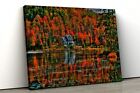 Autumn Forest trees with lake UV Direct Aluminum Print Australian Made Quality