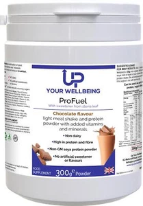 ProFuel Schokolade - Bild 1 von 3