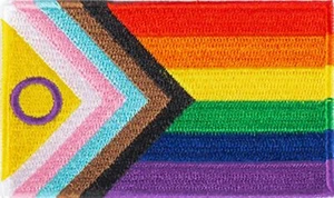 Regenbogen Progress Aufnäher rainbow patch CSD pride queer LGBTQ gay queer - Bild 1 von 1