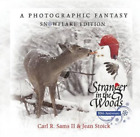 Carl R Sams Jean Stoick Stranger in the Woods (Hardback)