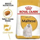 ROYAL CANIN Maltesisch Erwachsene Trocken Hundefutter