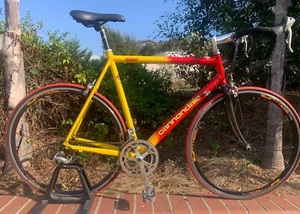 Cannondale CAD3/57cm/Shimano 105 STI 8 Spd /Rolf Vector Comp Wheels, Carbon Fork - Picture 1 of 12
