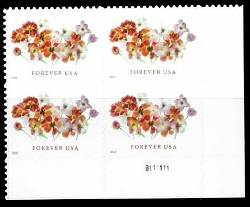 US 2022 SC#5681 Tulips Plate Block - BOTTOM RIGHT - MNH - Image 1 of 1