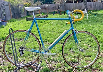 1971 Schwinn Paramount P-13 Blue 60 x 62cm Campagnolo Nuovo Record Steel 531 - Image 1 of 4
