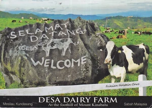 Postal antigua - Desa Dairy Farm At the foothill of Mount Kinabalu - Imagen 1 de 1