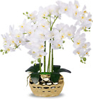 Artificial Orchid in Gold Vase White Orchid Silk Orchids Faux Orchid Plant